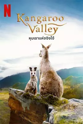 Kangaroo-Valley-2022